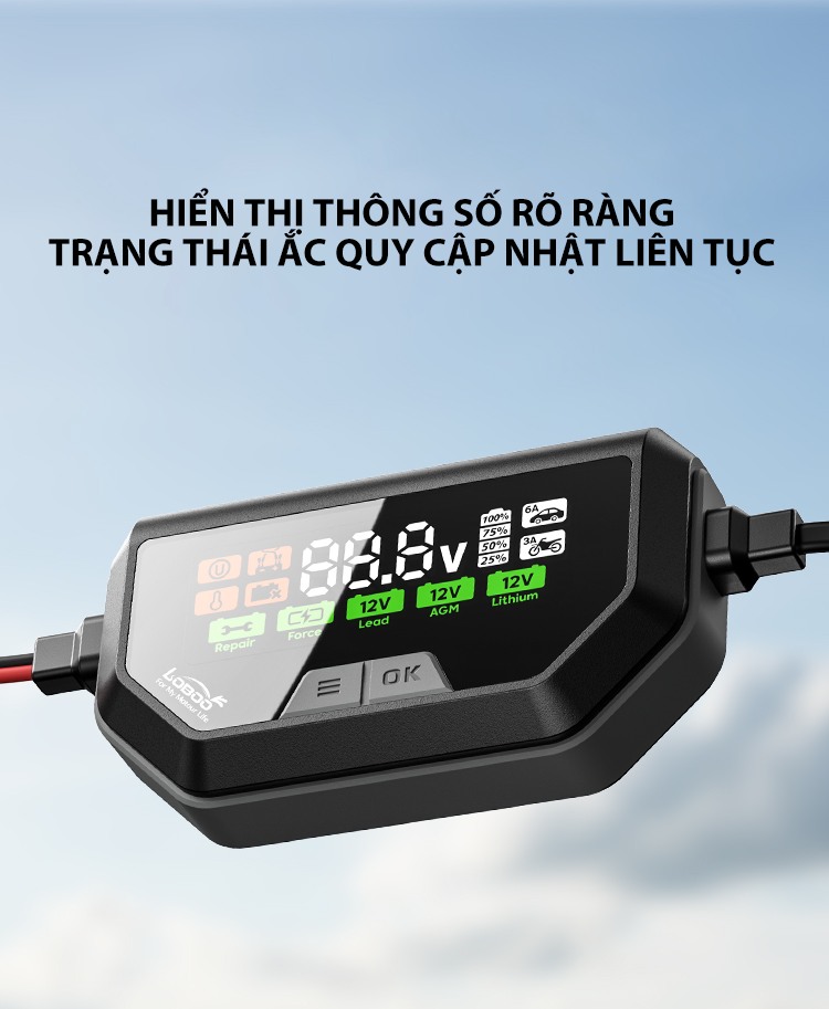 Sạc ắc quy Loboo C60