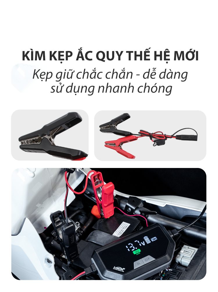 Sạc ắc quy Loboo C60