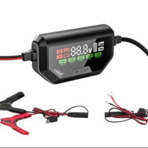 Sạc ắc quy Loboo C60